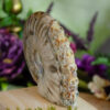 Ammonite Skull Carving at DreamingGoddess.com