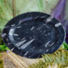 Orthoceras Plate at DreamingGoddess.com
