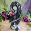 Orthoceras Spiral at DreamingGoddess.com