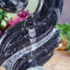 Orthoceras Spiral at DreamingGoddess.com