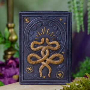 Tarot Snake Box at DreamingGoddess.com