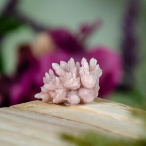 Pink Quartz Cluster at DreamingGoddess.com