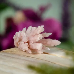 Pink Quartz Cluster at DreamingGoddess.com