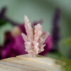 Pink Quartz Cluster at DreamingGoddess.com