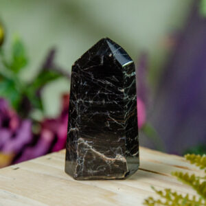 Black Tourmaline Tower with Iron Inclusions at DreamingGoddess.com