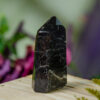 Black Tourmaline Tower with Iron Inclusions at DreamingGoddess.com