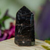 Black Tourmaline Tower with Iron Inclusions at DreamingGoddess.com