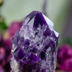 amethyst root cluster @dreaminggodess.com