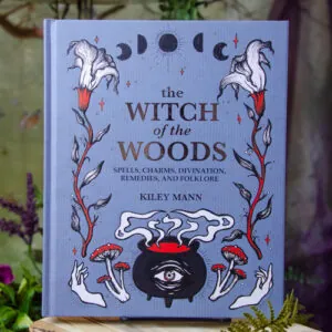 Witch of the Woods book at DreamingGoddess.com