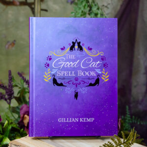 The Good Cat Spellbook at DreamingGoddess.com