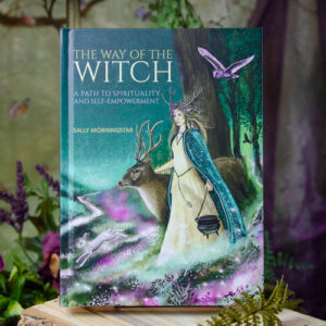 Way of the Witch Book at DreamingGoddess.com