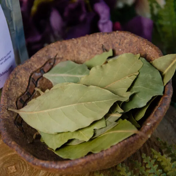 Bay Leaves at DreamingGoddess.com